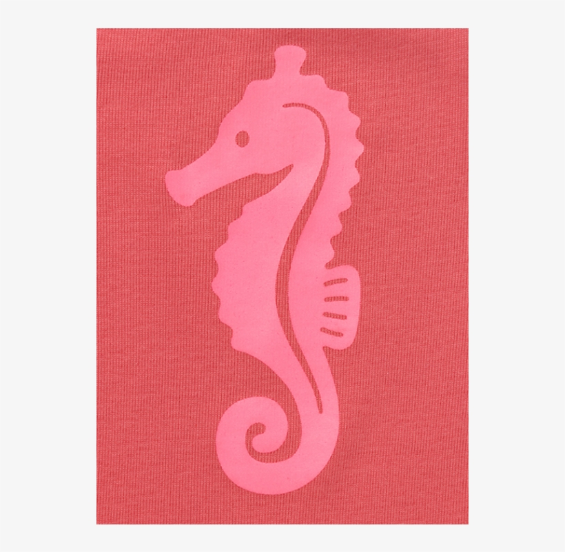 Tapete Ava Sea Horse Suit - Northern Seahorse, transparent png #5200443