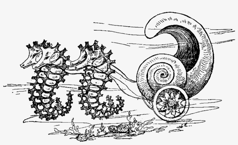 Seahorse Carriage Clipart Png - Sketch, transparent png #5200816