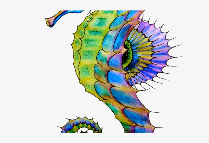 Seahorse Png Transparent Images - Seahorse Drawing, transparent png #5200872