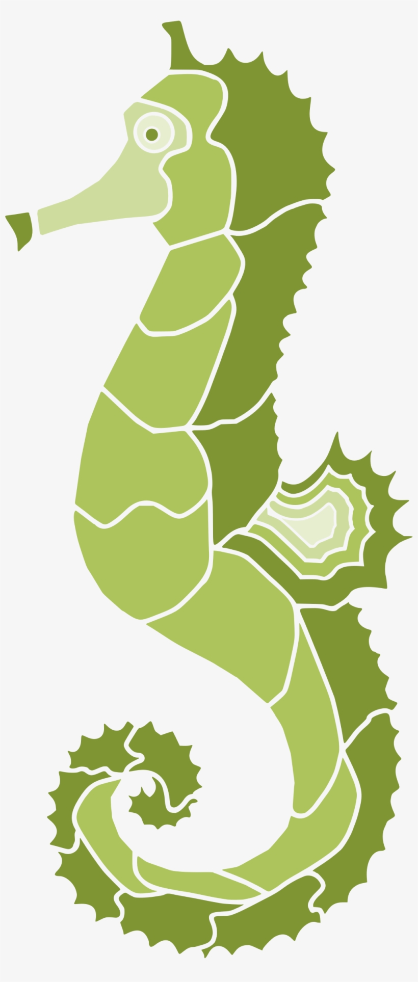 Big Image - Portable Network Graphics, transparent png #5200975