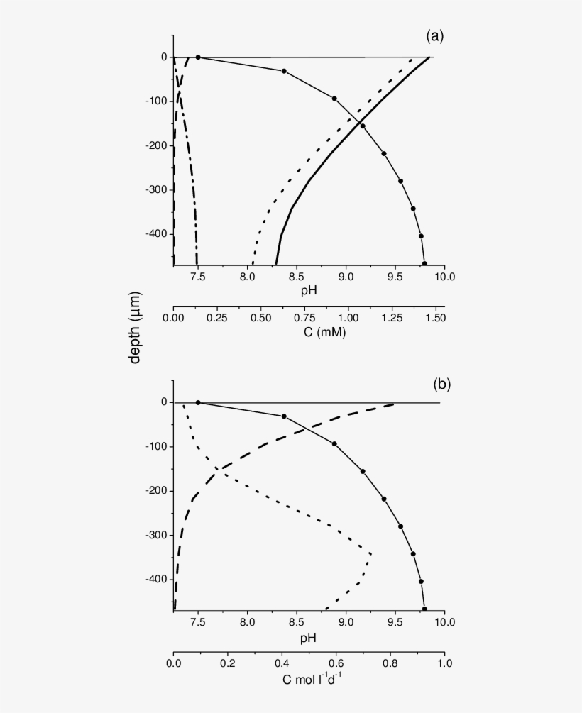 Modeled Distribution Of The C-species - Diagram, transparent png #5201563