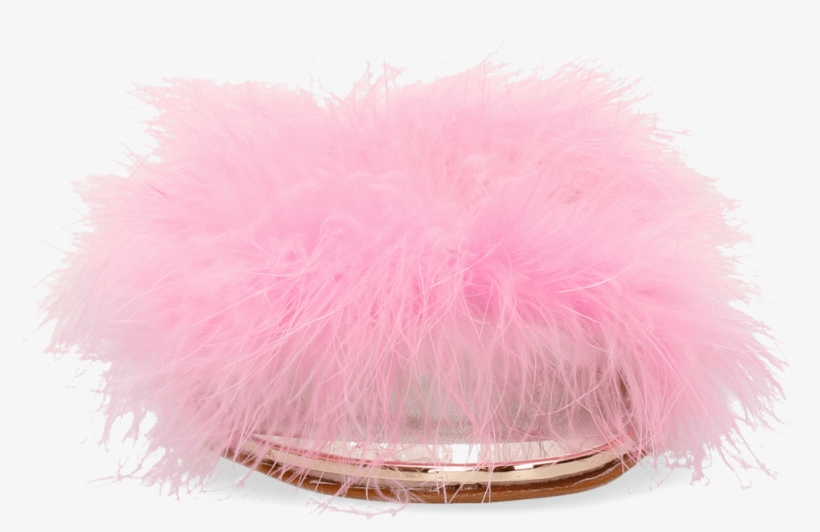 Lace Wig, transparent png #5202009