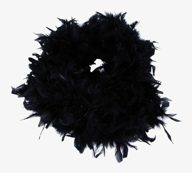 Feather Boa Transparent Image - Flower, transparent png #5202301