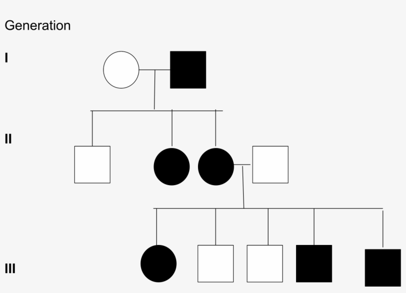Open - X-linked Dominant Inheritance, transparent png #5203585