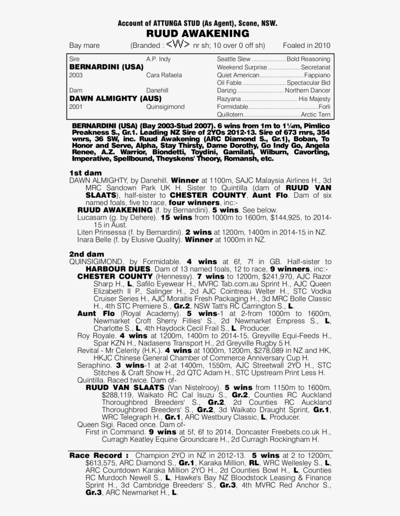 2015 National Sales Mm Ruud Awakening - Document, transparent png #5205104