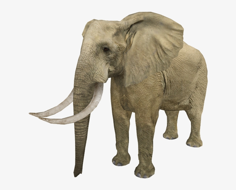 Desert Elephant - Zt2 Elephant, transparent png #5207465