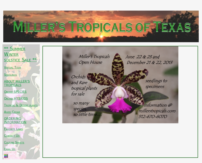 Millers Tropicals Competitors, Revenue And Employees - Toad Lily, transparent png #5207520