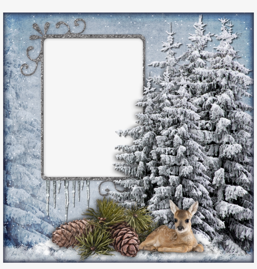 Cadre Png Hiver, Neige - Fir Needle Essential Oil 10 Ml - 100% Pure & Natural,, transparent png #5207630