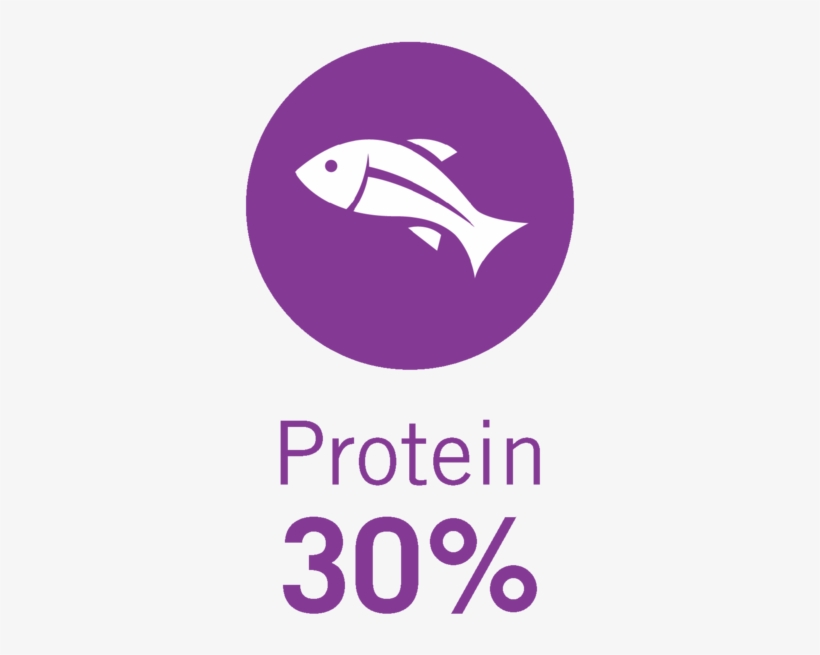 30%-protein, transparent png #5208669