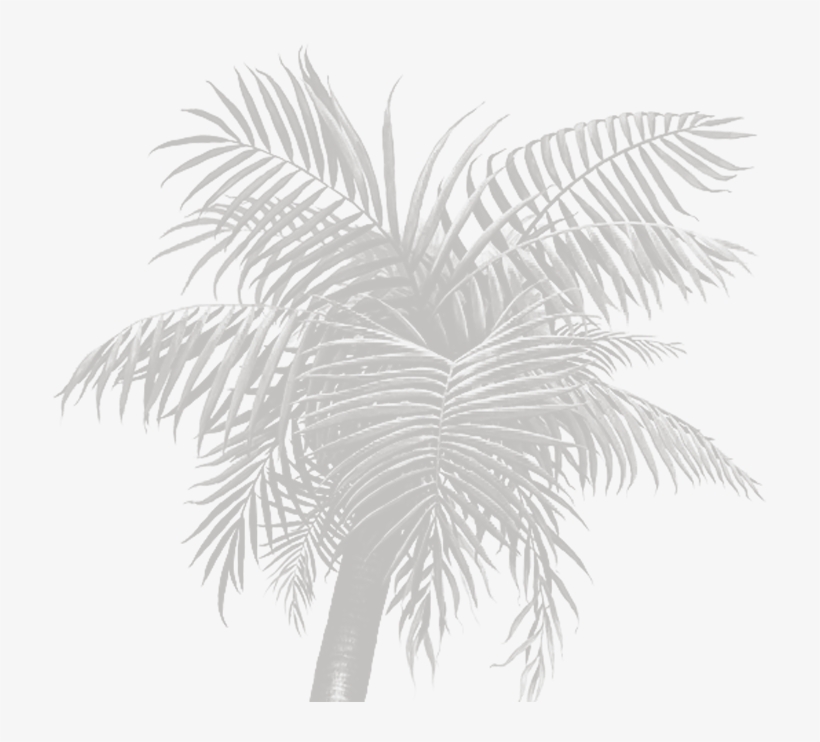 Bg Right Section 2 - Walls Of The Wild Palm Tree Peel, transparent png #5209683