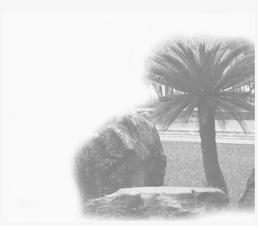 Landscaping, Garden Restoration & Maintenance Services - Monochrome, transparent png #5209822