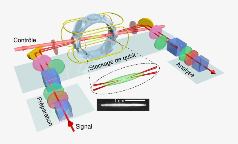 Memory - Quantum Memory, transparent png #5210799