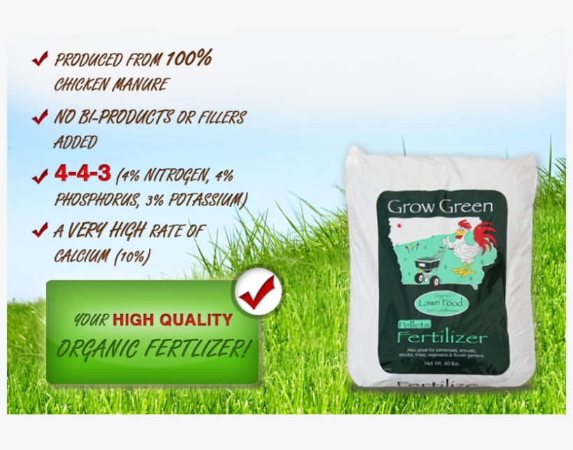 Organic Grow Green, 4 4 3, Chicken Manure Fertlizer - Butterfly Necklace, Easter Necklace, Message Necklace,, transparent png #5212500