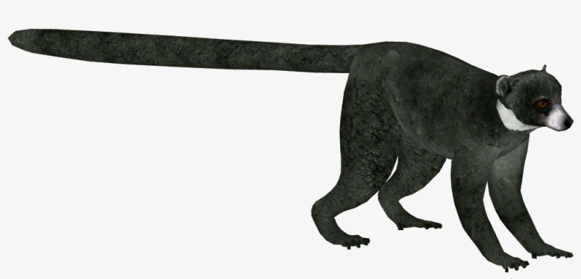 Mongoose Lemur Version 2 F - Dog Catches Something, transparent png #5213613