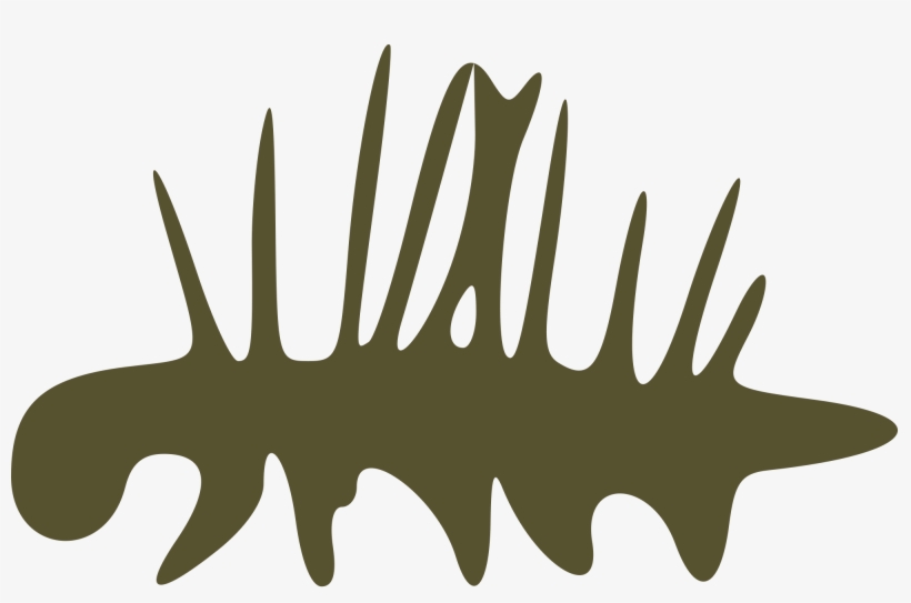 Open - Cambrian Png, transparent png #5213623