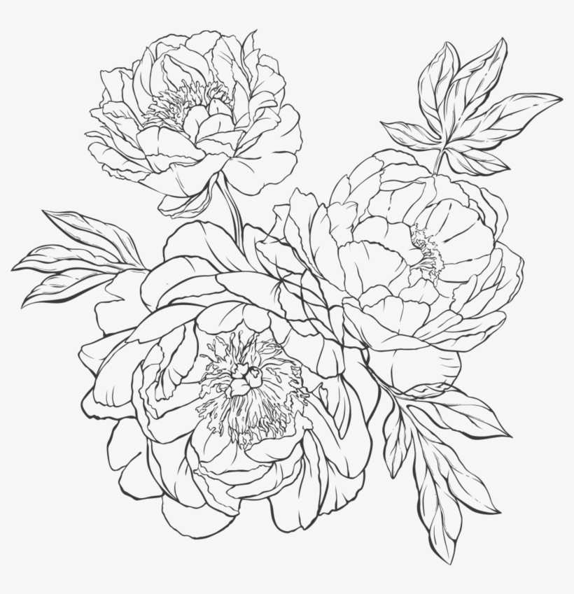 To Handing Out Paper Flowers I Hand Crafted For My - Drawing, transparent png #5214050