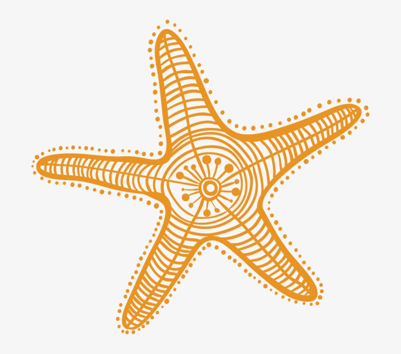 Starfish Drawing Cartoon Clip Art - Estrellas De Mar Dibujo, transparent png #5214649