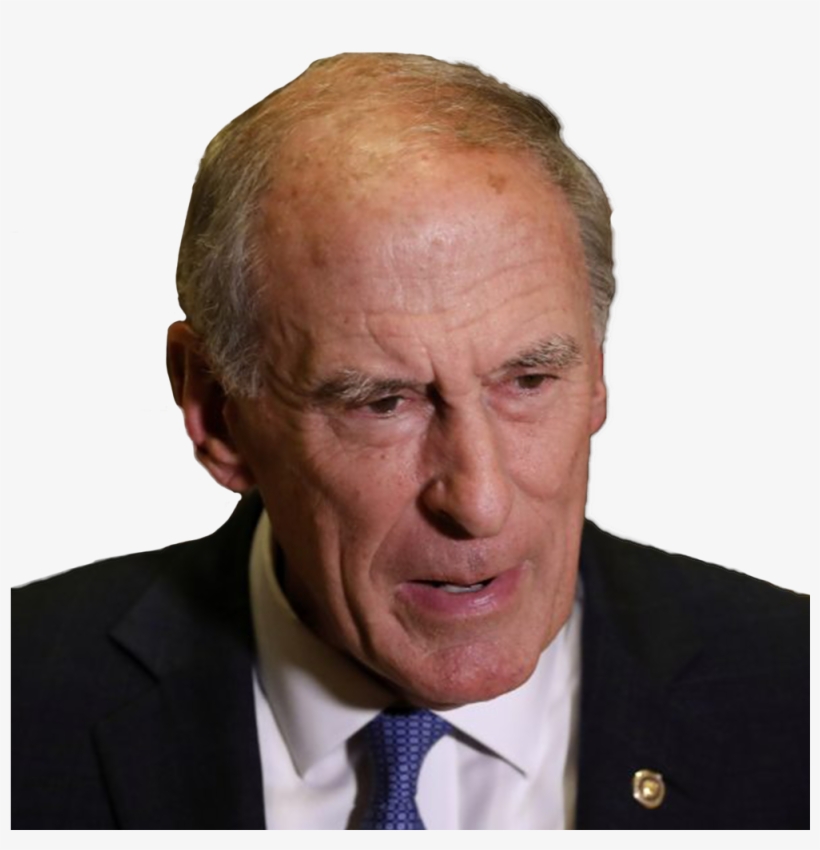 Director Of National Intelligence - Paul Mccarthy Allen And Overy, transparent png #5217110