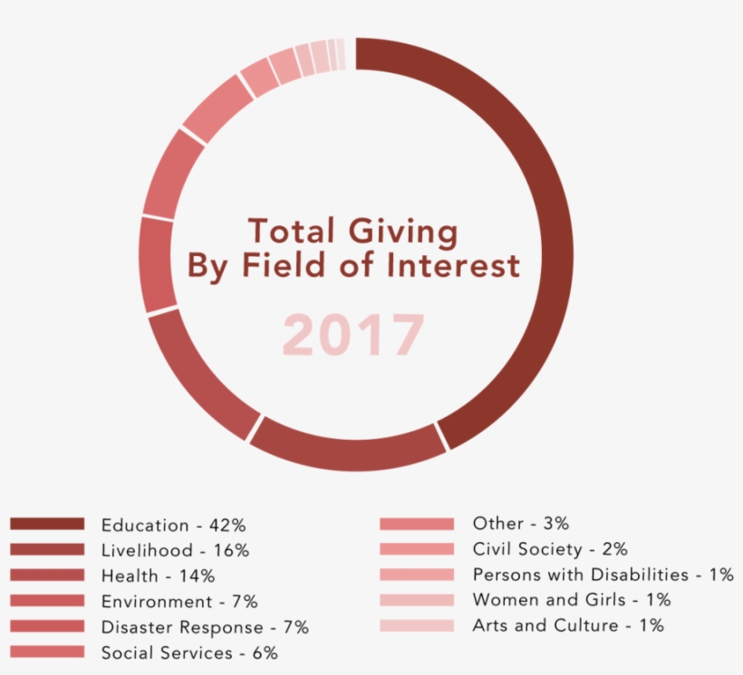 Give2asia Bythenumbers Graphics 2017by Field Interest - Anshan, transparent png #5220044