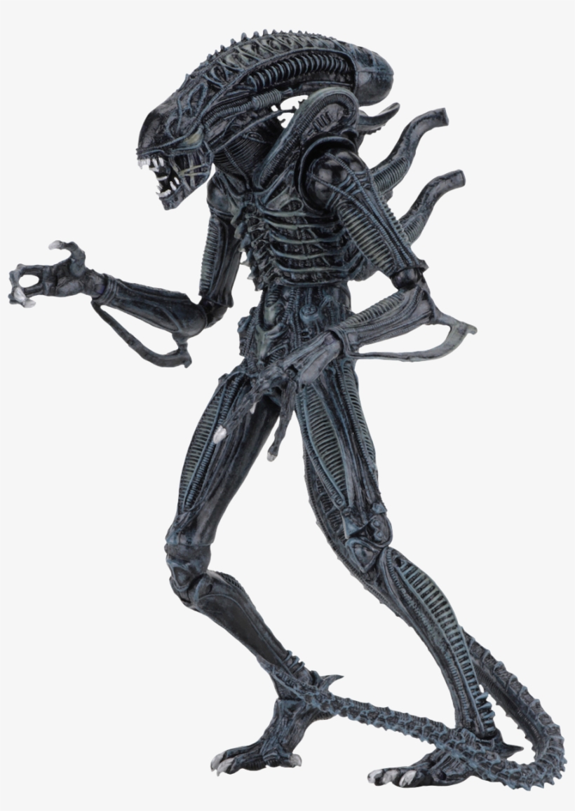 Alien Warrior 7” Ultimate Action Figure Assortment - Aliens Figure, transparent png #5220593
