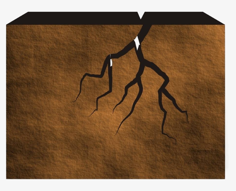 Png Download Adobe Illustrator Cracked Stone Png Transprent - Plywood, transparent png #5223056