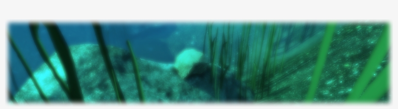 The Glass Fragments Can Then Be Crafted Down In The - Underwater, transparent png #5223768