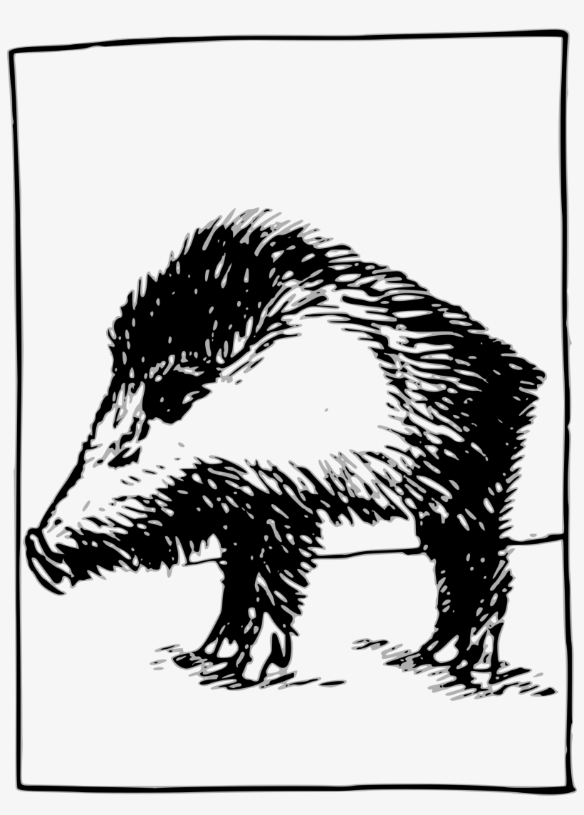 Year Of The Boar - Punxsutawney Phil, transparent png #5224786