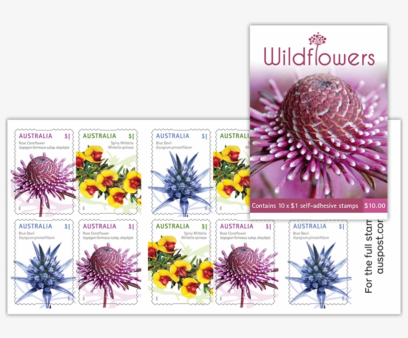 Booklet Of 10 Stamps, transparent png #5224958