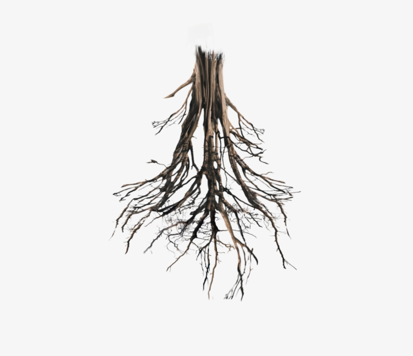 Floating Island, Tree Roots, Peaches, Photoshop, Peach - Tree Roots, transparent png #5229247