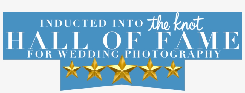 Bow Banner - Undertheveil Woodland Wedding, Crystal Veil , Soft, transparent png #5229644