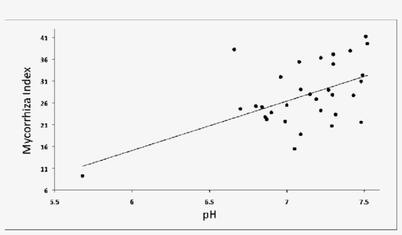 Mycorrhization Index Of T - Plot, transparent png #5229827