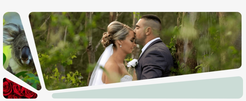 Home - Das Koala Hospital - So Schmeckt Australien! [regio, transparent png #5230150