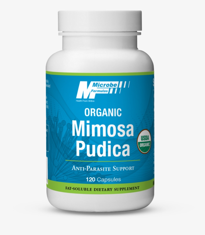 Anti-parasite Support - Spiruline Flamant Vert Avis, transparent png #5231253