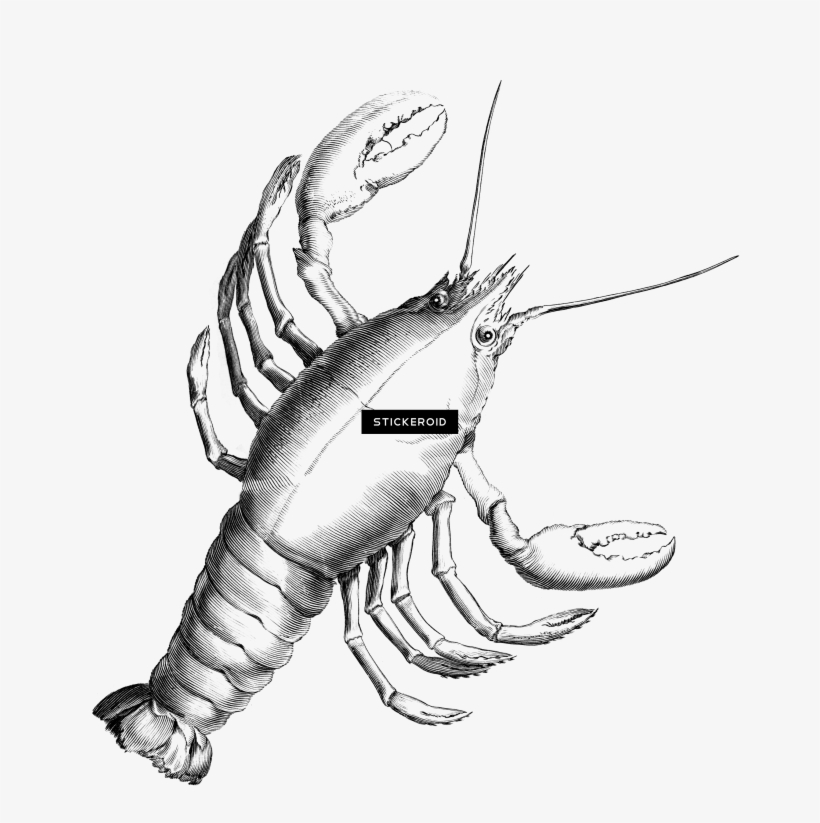 Cancer - Cancer Constellation, transparent png #5231343