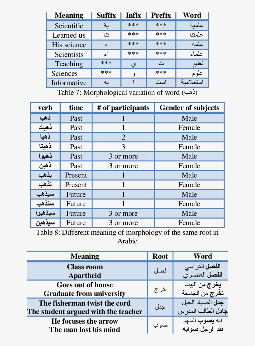 Versions Of The Word عي And Its Meaning When Adding - Meaning Affixes, transparent png #5240190