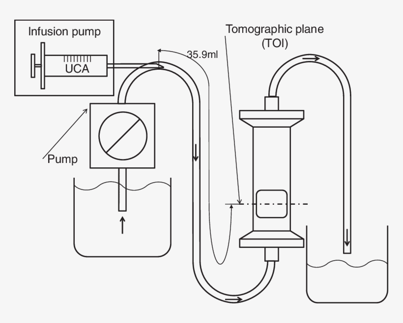 Phantom For Model Validation, And The Model Volume - Diagram, transparent png #5245099