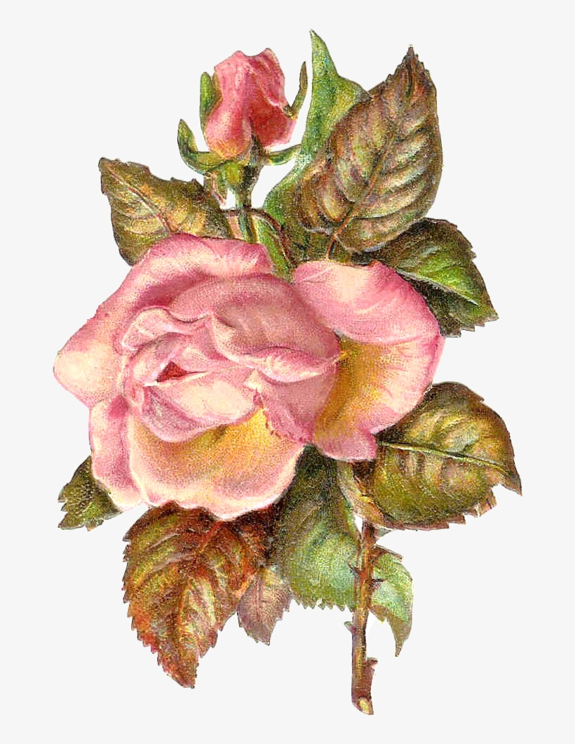 This Is An Antique Frame Illustration From An Antique, transparent png #5246336