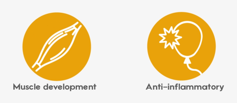 Products - Graphic Design, transparent png #5249639