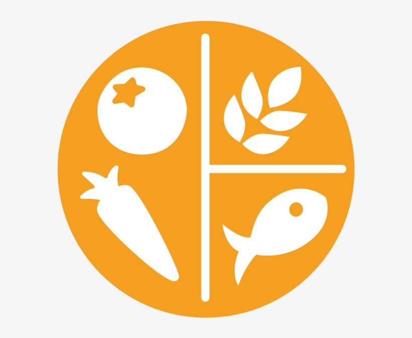Comida Internacional - Nestle Nutrir, transparent png #5249704
