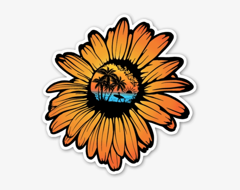 Sunflower Surf Sticker - African Daisy, transparent png #5252198