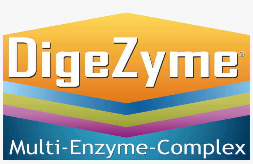 Functional Dyspepsia Is Referred To As “non-ulcer Dyspepsia” - Complexity In Primary Care By Kieran Sweeney, transparent png #5254980