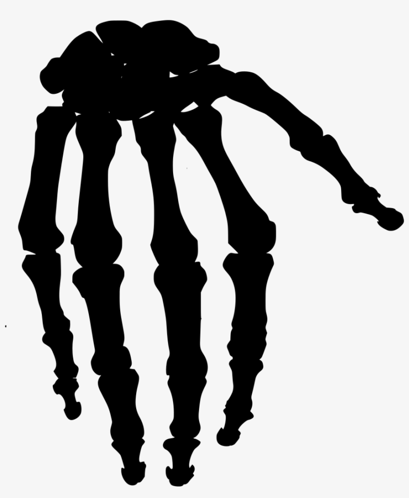 Download Png - Bone, transparent png #5255111