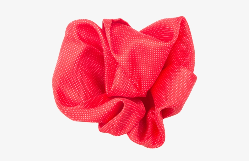 Garden Roses, transparent png #5256160