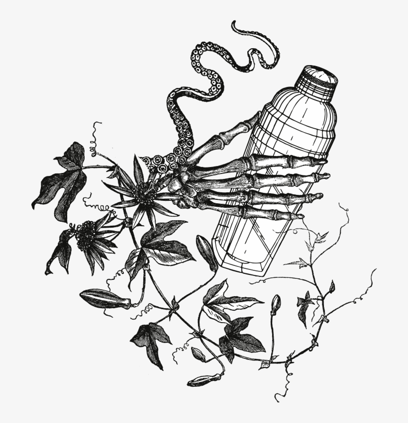 Skull Eyeball Van Shaker Dragonfly - Portable Network Graphics, transparent png #5256162