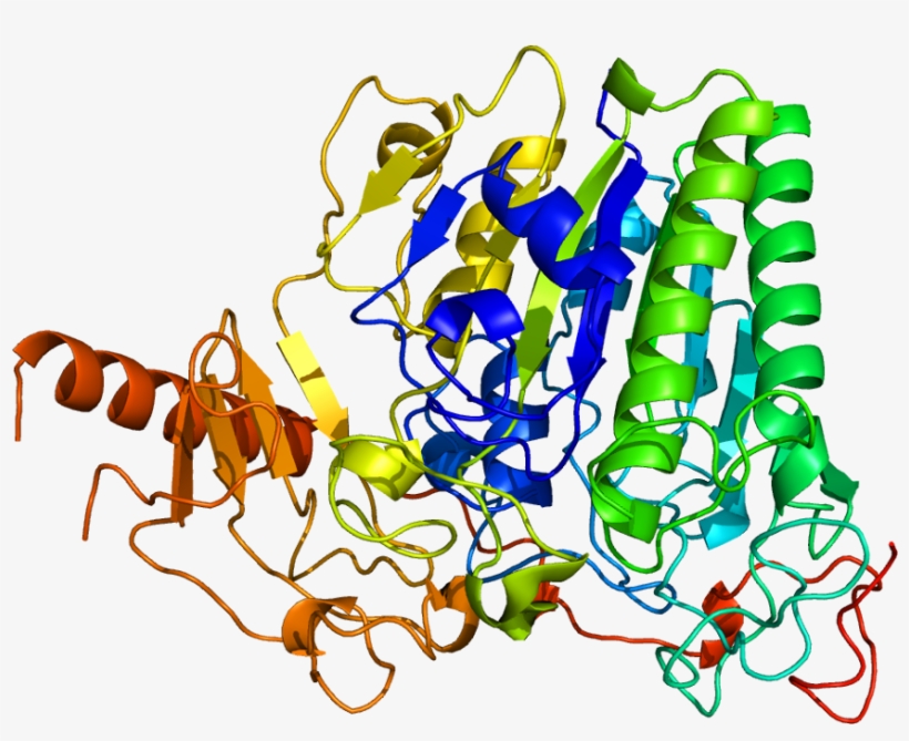 Arsa Gene, transparent png #5256486