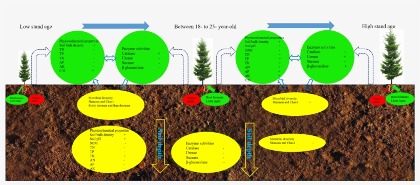Graphical Abstract - Abstract, transparent png #5256623