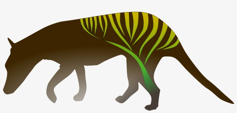 Michael Charleston And The Rest Of The Theoretical - Kangaroo, transparent png #5258383