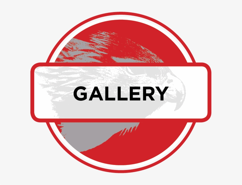 Icon Gallery - Gallery Red Icon Png, transparent png #5259020