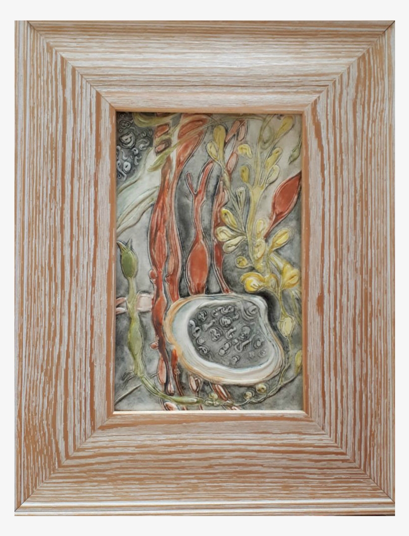 Seaweed Iii - Picture Frame, transparent png #5260305