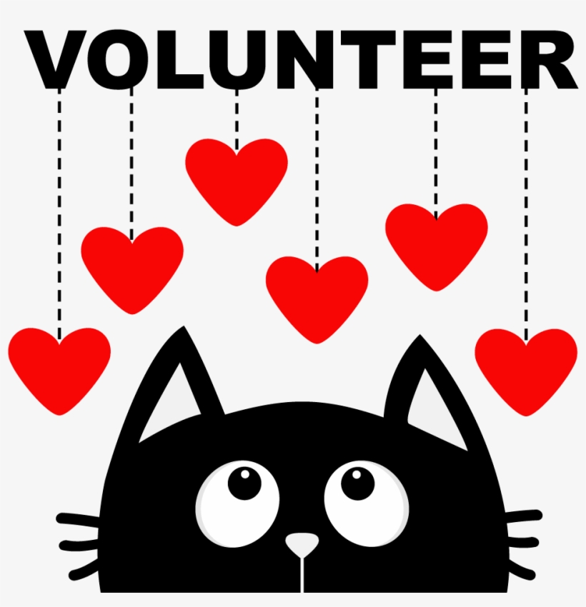 Volunteerimage Nbg - Cute Black Cat Cartoon, transparent png #5261916